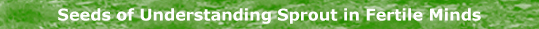 Seeds of Understanding